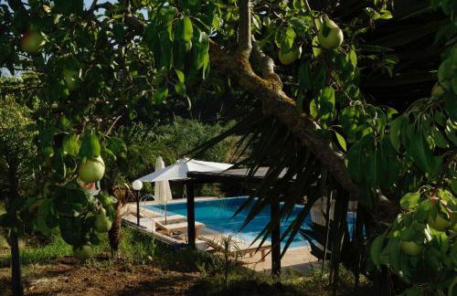 Egesta, villa with private pool - Foto 37