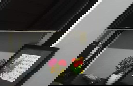 Lime Condo Rentals - Foto 20