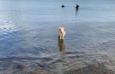 Tawny Owl Pod with Hot Tub - Foto 72