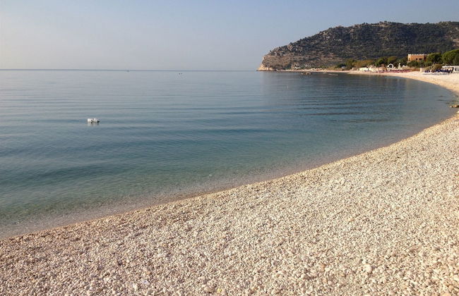 B&B Lido dei Pini - Photo 32