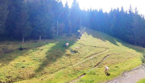 Appartement 2 pièces aux Adrets-Prapoutel, pied des pistes, balcon, animaux interdits - FR-1-771-50 - Foto 5