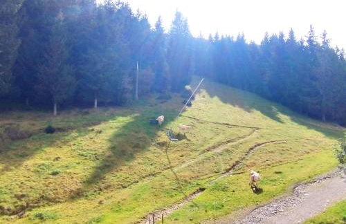 Appartement 2 pièces aux Adrets-Prapoutel, pied des pistes, balcon, animaux interdits - FR-1-771-50 - Foto 5