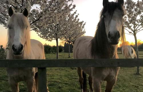 Hillside Farm Barn Apartments - Photo 53