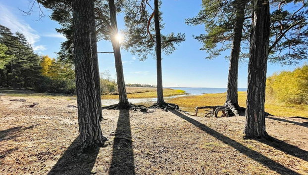 2 Person Holiday Home in Norrkoping - Foto 5, Miscelánea