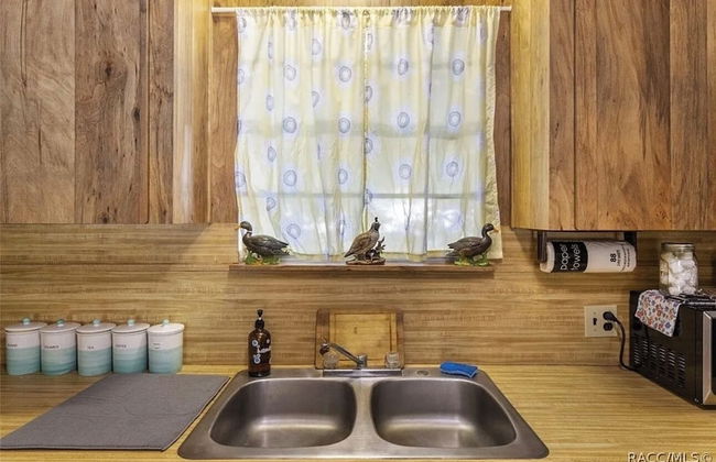 Rustic Lakehouse kayaks fishing bonfires - Foto 4