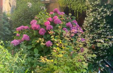 Peonia Apartment - appartamento vista lago - Foto 33