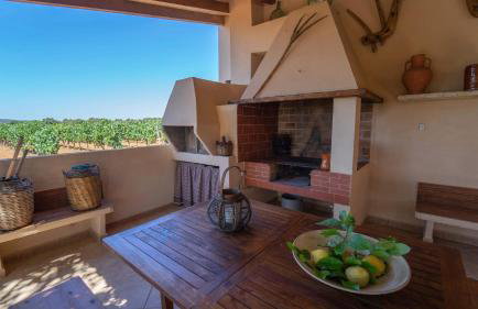 Vinyes Can Grau - Foto 11