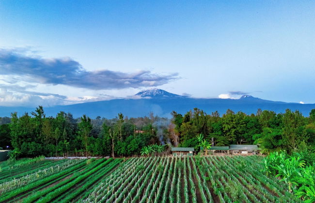 Shose Farmhouse Chalets & Campsite - Photo 59