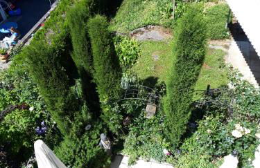 Residenz am Berg - Foto 36