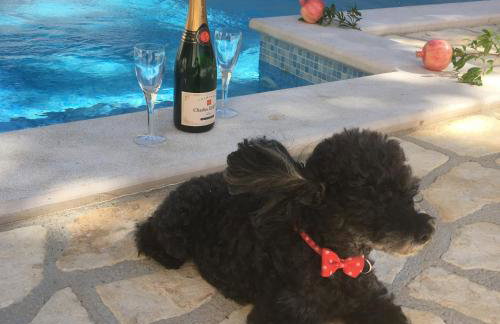 Villa Bisou - Foto 19