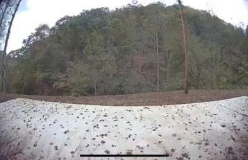 Secluded Cabin with King size bed - Photo 12