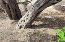 Casa Tereza - Foto 62