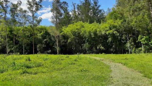 Chalé Filhos da Terra - Foto 3