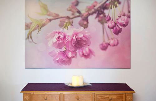 Salenberghof Ferienwohnung Panorama - Foto 12