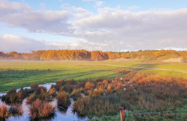 Villa in Domburg Near North Sea Beach - Foto 36
