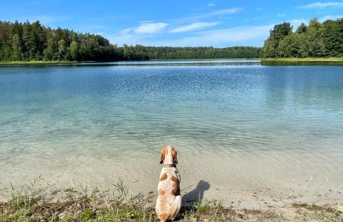 Żurawi klangor - dom z sauną i jacuzzi - Foto 29