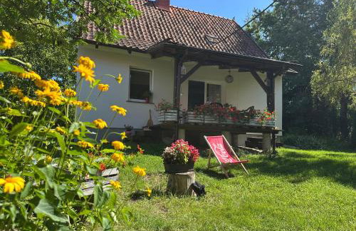 Dom pod Aniołem - Foto 13