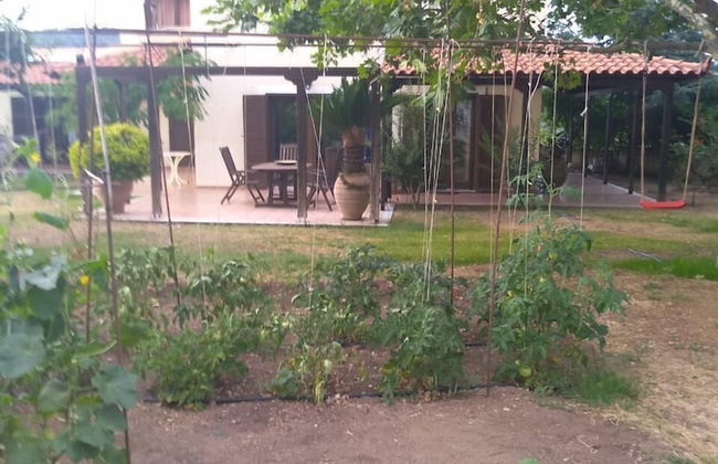 Gerania Villa - Foto 33