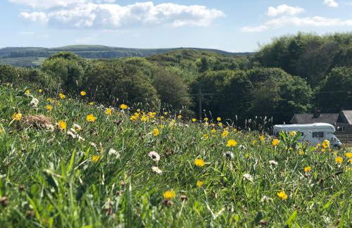 Queen Bower Farm Lodge - Foto 62