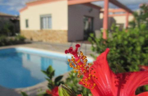 Villa Romeo Comfortable holiday residence - Photo 19
