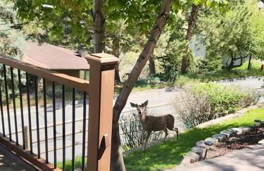 Large 3200sf A-Frame House close to Snowbird Alta Ski &Stunning Mountain View! - Foto 23
