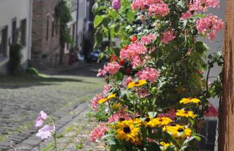 Gästehaus Sehl - Foto 23