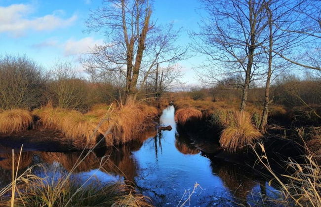 Cozy, Wooden Chalet With Deck, Near Durbuy - Foto 40
