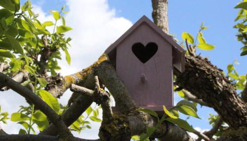 Bencini Family - Foto 4