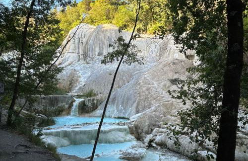 La Balena Rosa - Foto 27