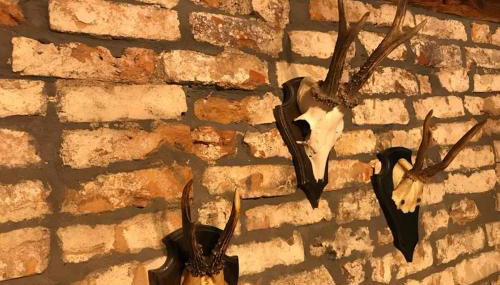 Historisches Tagelöhnerhaus - Foto 3