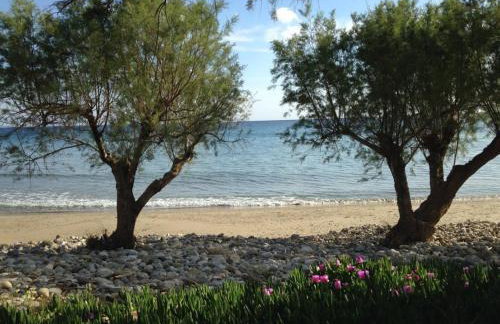 Luxury house Makry gialos 200m to the beach 6 pers - Foto 4