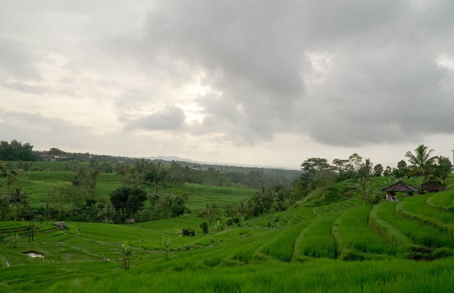 Dukuh Baturan Villa - Photo 17