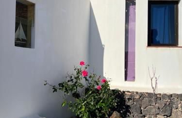 Centro Ave Fénix - Photo 78