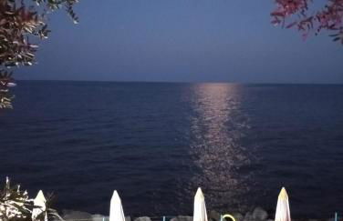 Scario house - Foto 16