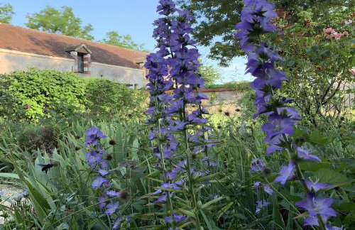 Le Petit Manoir De La Noue - Foto 11