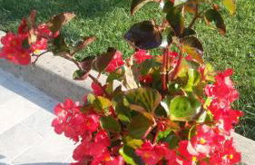 La Residenza di Bacco - Foto 23