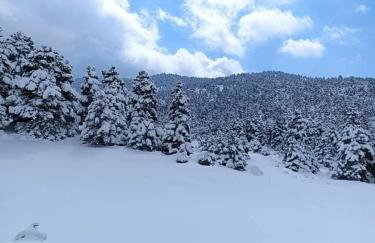 ElaPhos HOUSE - Foto 24