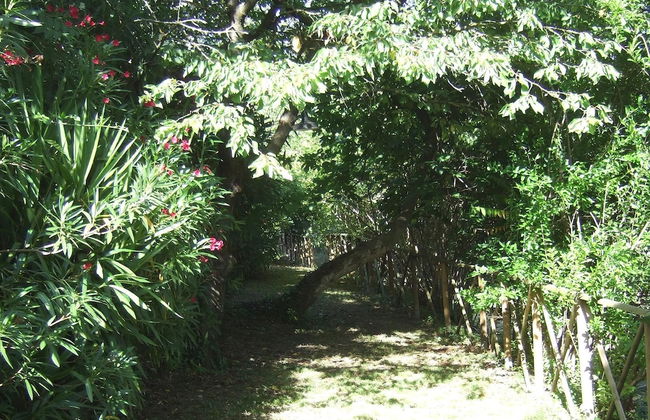 Agriturismo La Casa della Lavanda - Il Casale - Foto 31