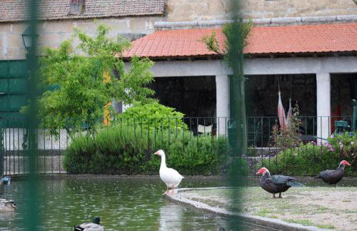 Quinta dos Patos - Foto 14