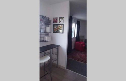 Duplex 1 station tramway aéroport Paris-Orly - Foto 16