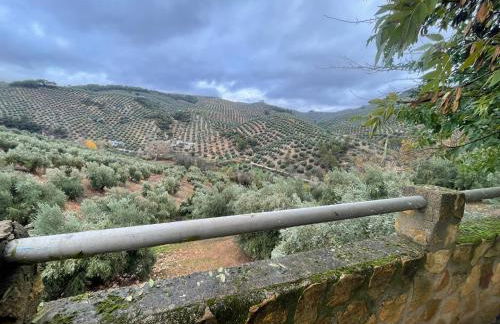 Casa Rural Huerta Del Cura - Foto 42