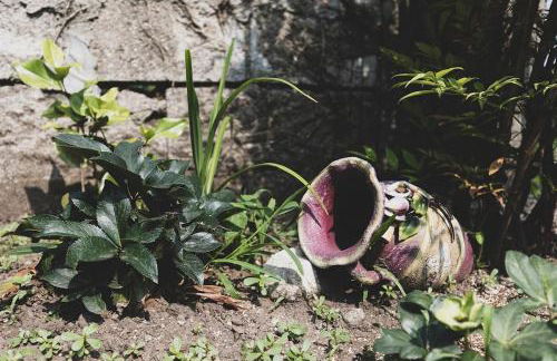 Tra Lago Maggiore e lago d'Orta Appartamento TERRA - Foto 11