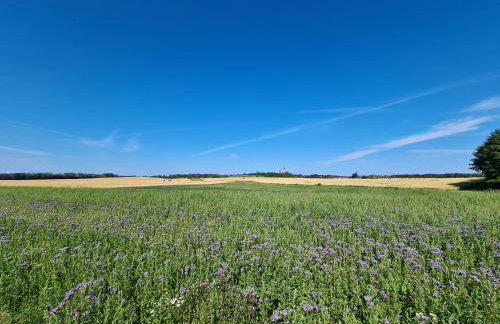 Ferienwohnung Koningk - Foto 13