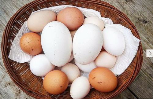 Agriturismo Il Paradiso - Foto 41