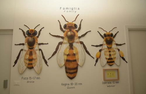 La casa di Maia - Alloggio Agrituristico - Foto 35