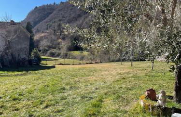 Casa Teodoro - Gelsomino, Ulivi & Orchidea - Foto 68