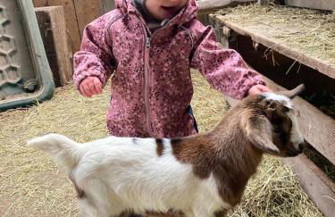 Ferienhof Harr - Foto 21