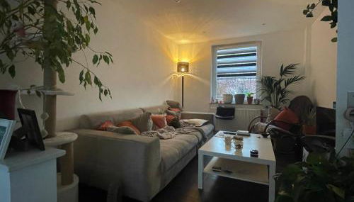 Like a house - lovely Maisonette with Cats - Foto 3