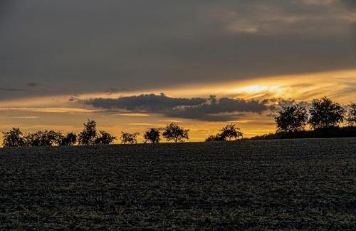 Ferienwohnung Zum Wildpark - Foto 9
