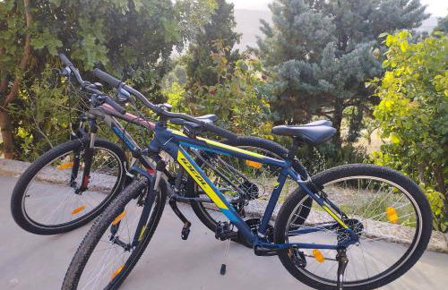 Villa Vitsilias under the cretan sky - Photo 49